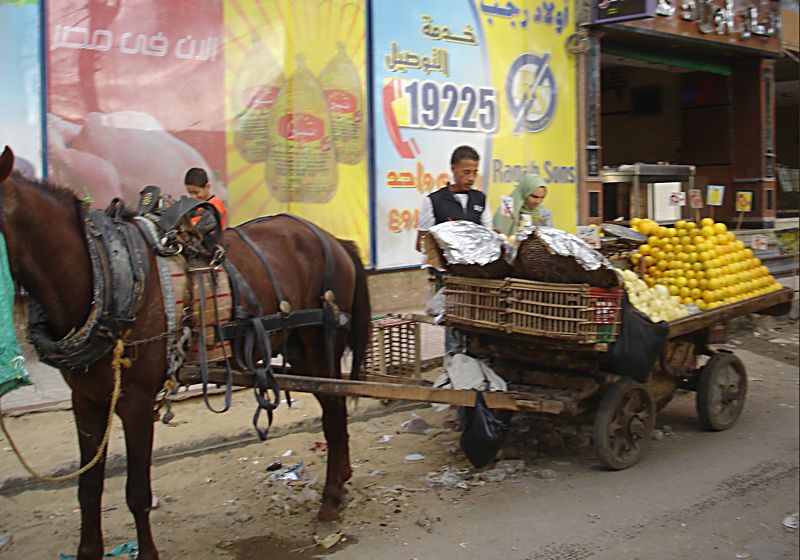  Торговля на улице Каира. Фото Лимарева В.Н.